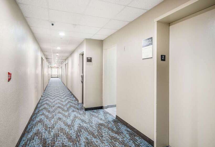 בית מלון כפרי Sleep Inn & Suites Tallahasseecapitol