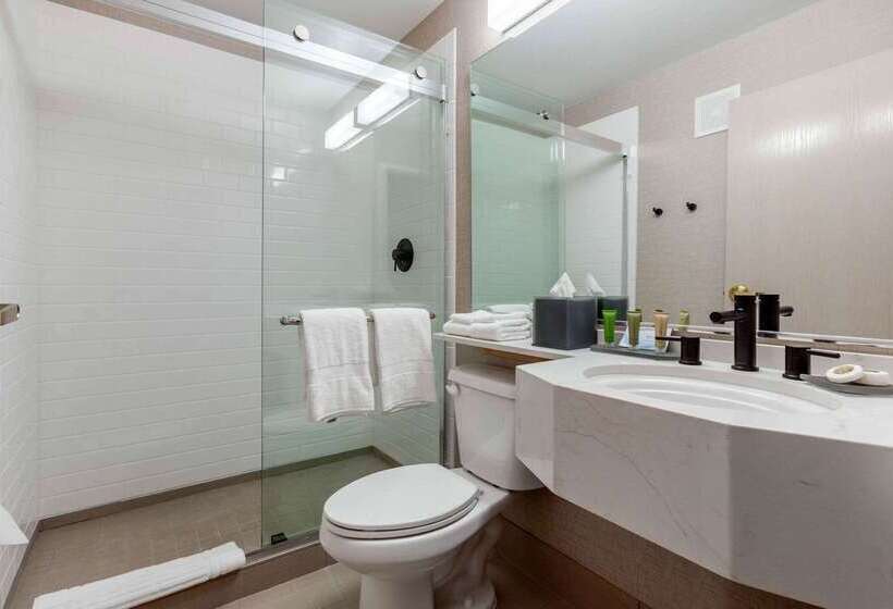 فندق Tempest, Trademark Collection By Wyndham