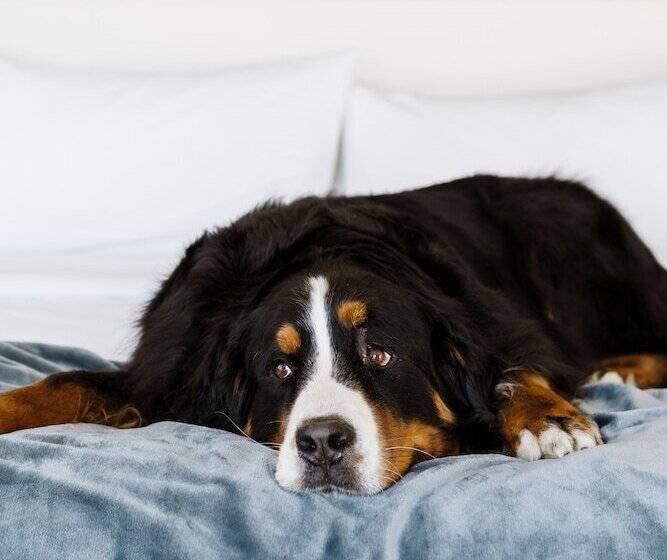 هتل The Bidwell Marriott Portland