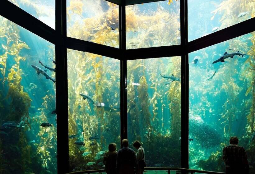 فندق The Monterey