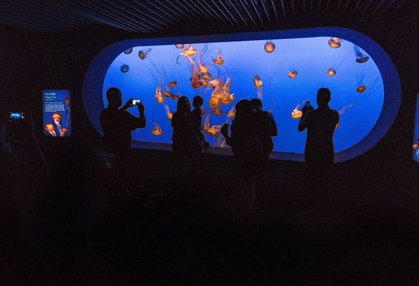 فندق The Monterey