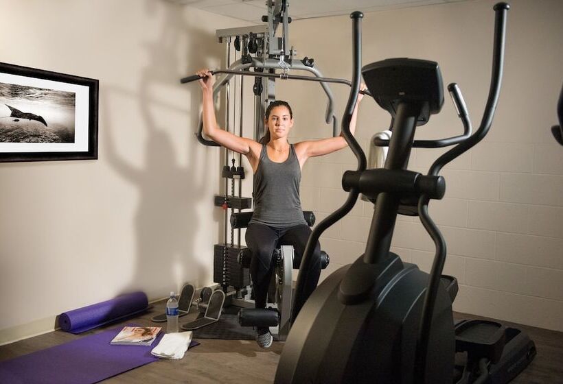 فندق The Monterey