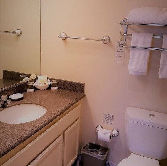 فندق The Monterey