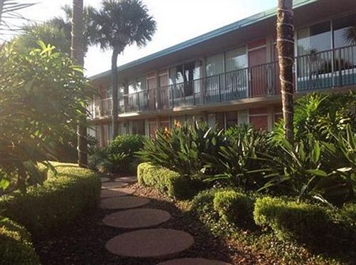 Magic Tree Resort