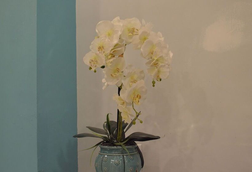 Miami Sun Hotel   Downtown/port Of Miami