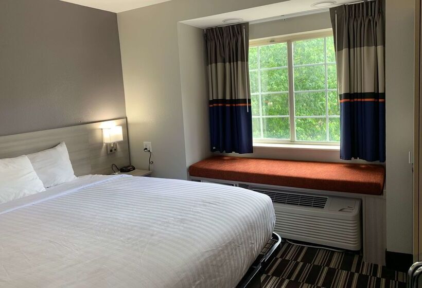 Microtel Inn By Wyndham Charlotte Airport