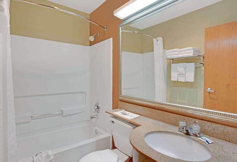 Microtel Inn By Wyndham University Place