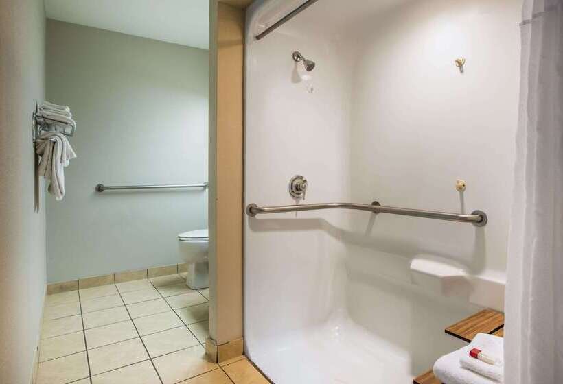 Microtel Inn & Suites By Wyndham Chattanooga/near Hamilton P