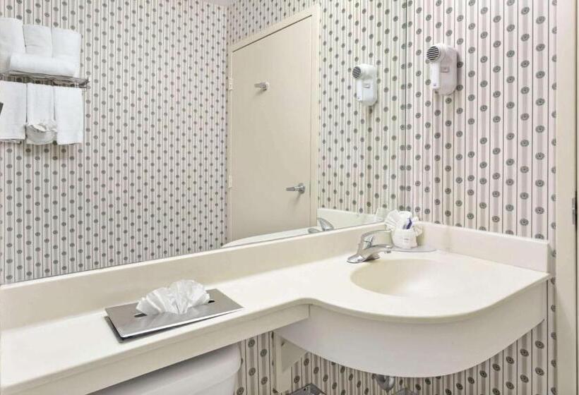 Microtel Inn & Suites By Wyndham Denver Airport