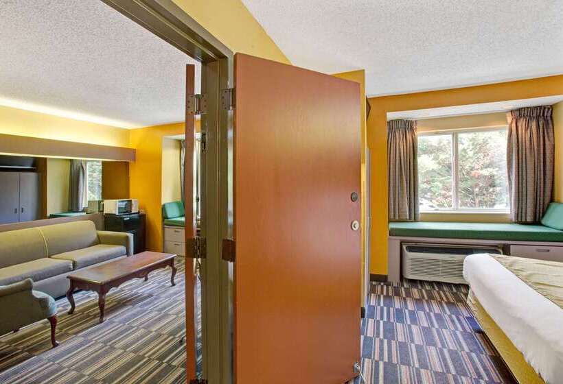 Microtel Inn & Suites By Wyndham Gatlinburg