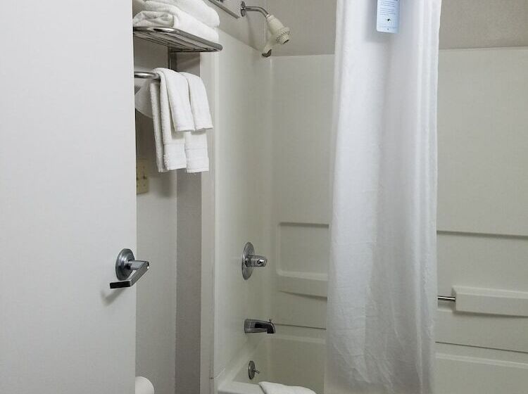 Microtel Inn & Suites By Wyndham London