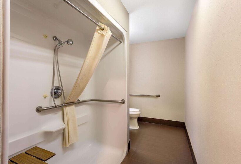 Microtel Inn & Suites By Wyndham Matthews/charlotte