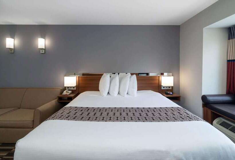 Microtel Inn & Suites By Wyndham Savannah/pooler