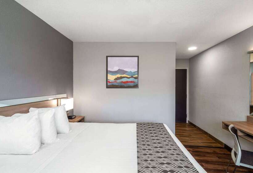 Microtel Inn & Suites By Wyndham Savannah/pooler