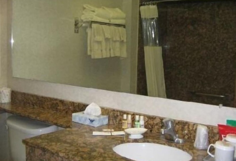 Mineral Palace Hotel & Gaming