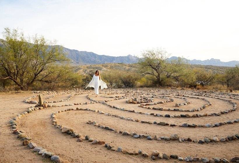 Miraval Resort & Spa   Adults Only All Inclusive