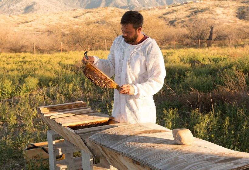 Miraval Resort & Spa   Adults Only All Inclusive