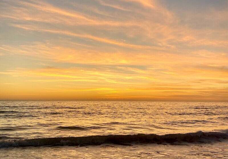 모텔 The Molloy   Treasure Island Suites & Cottages