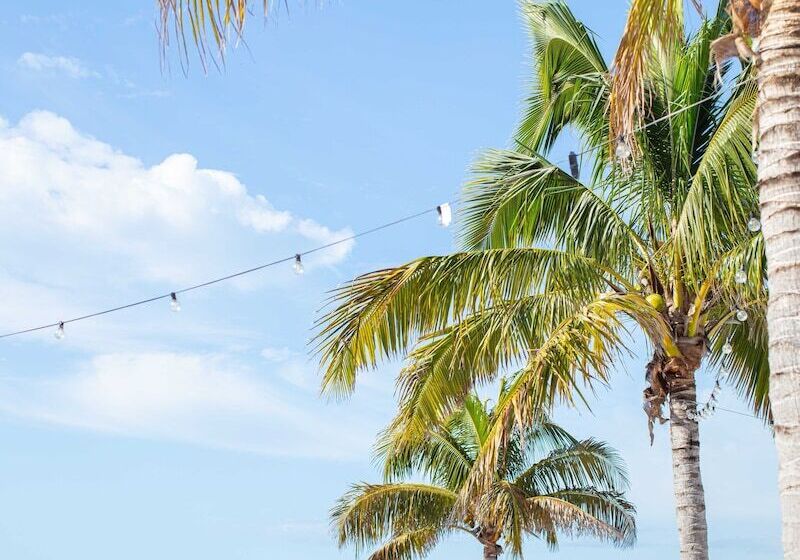 모텔 The Molloy   Treasure Island Suites & Cottages