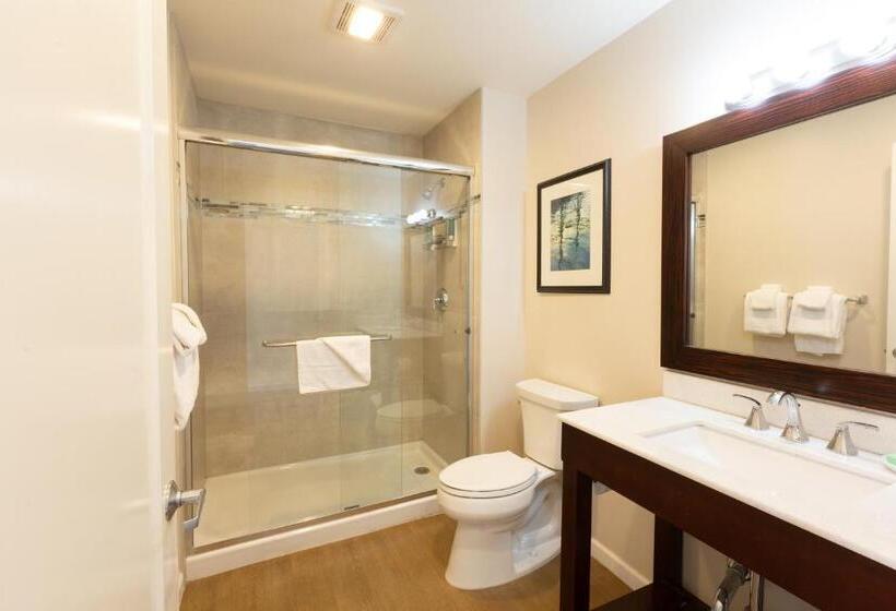 Moonlight Beach Motel