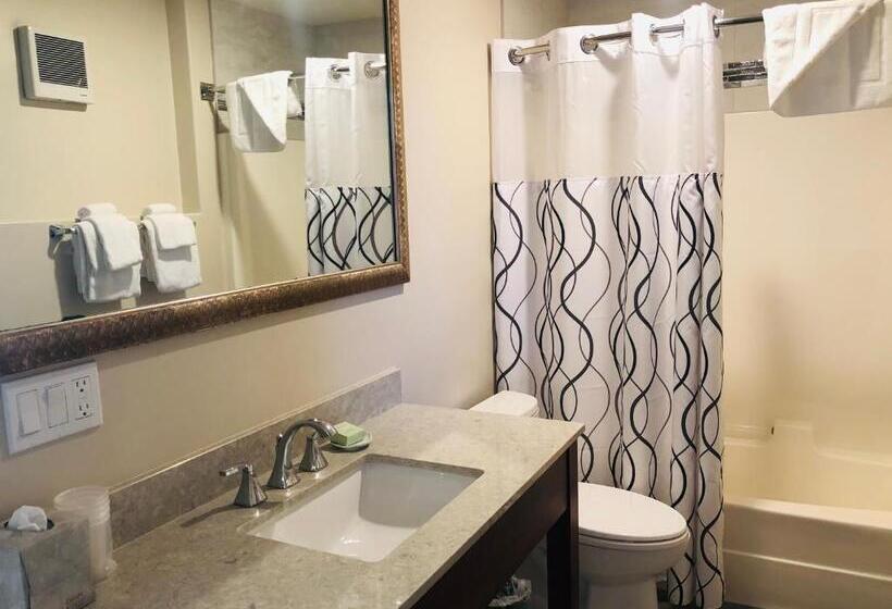 Moonlight Beach Motel