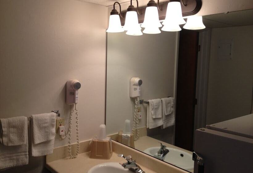 モーテル Midlands Lodge