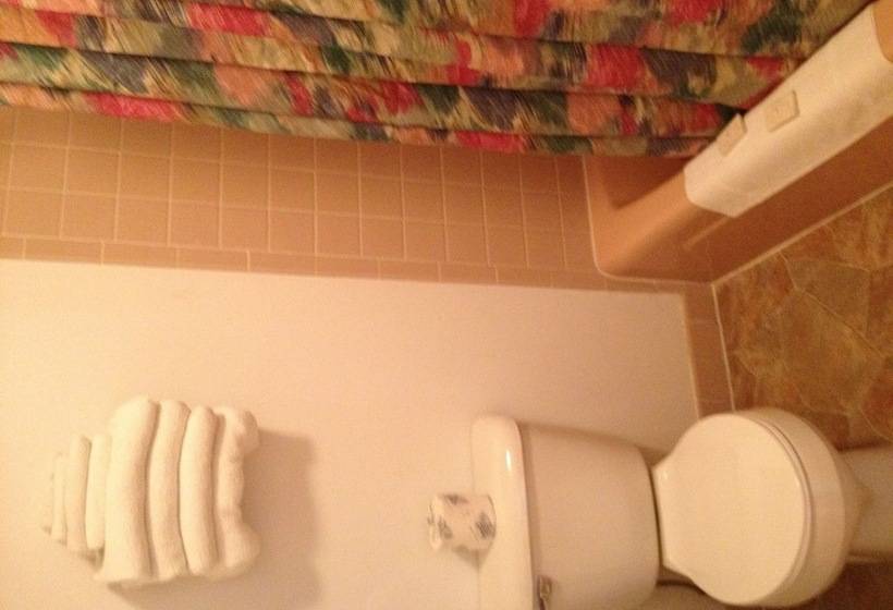 モーテル Midlands Lodge