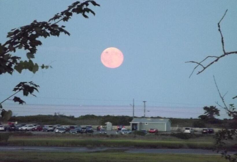 モーテル Mariner Resort