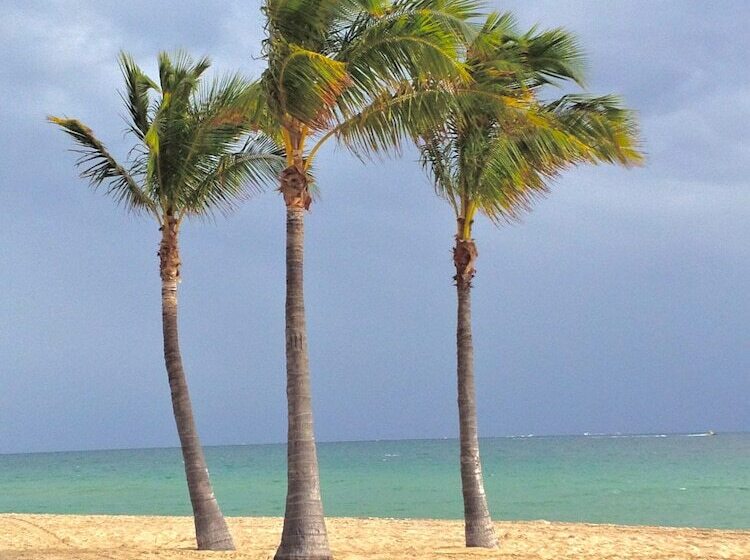 渡假胜地  Fortuna