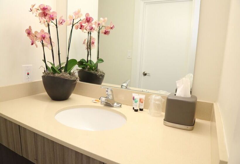 渡假胜地  Fortuna