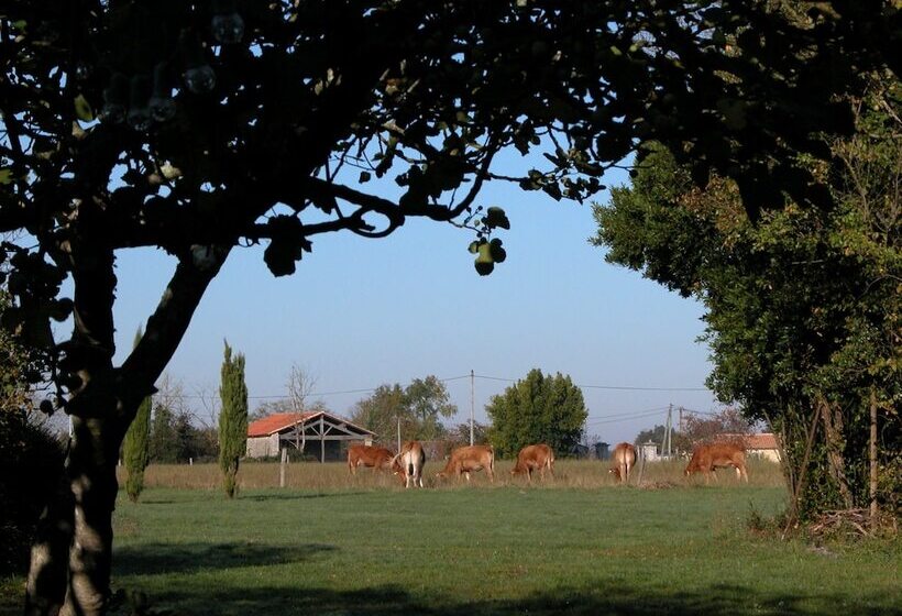 住宿加早餐 Chambre D Hôtes La Pertuzerie