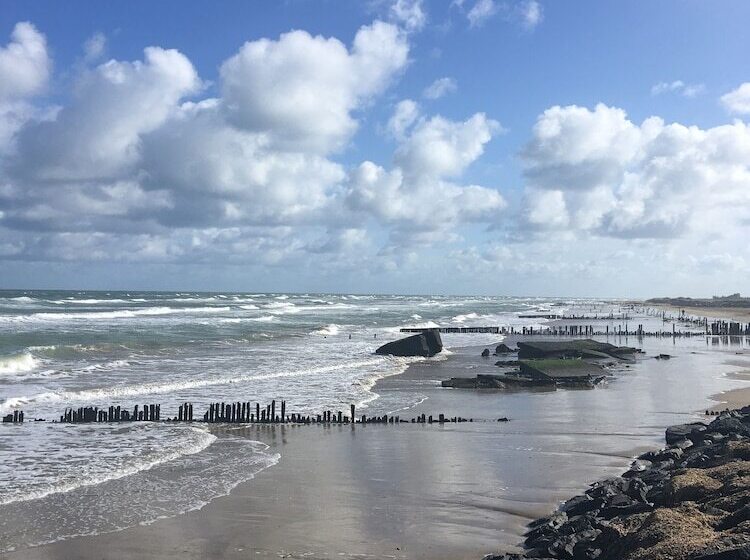 住宿加早餐 Le Mas Normand