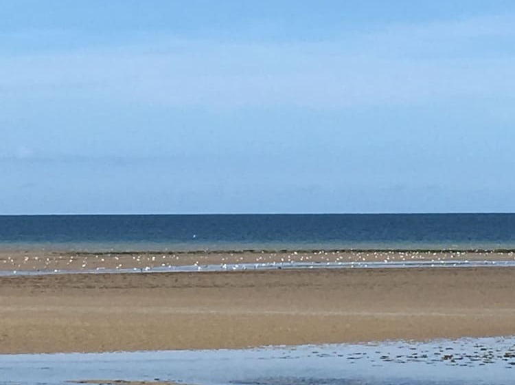 住宿加早餐 Le Mas Normand