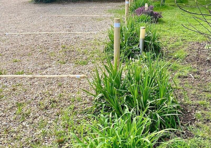 住宿加早餐  Le Logis De La Brumanderie   Saintes