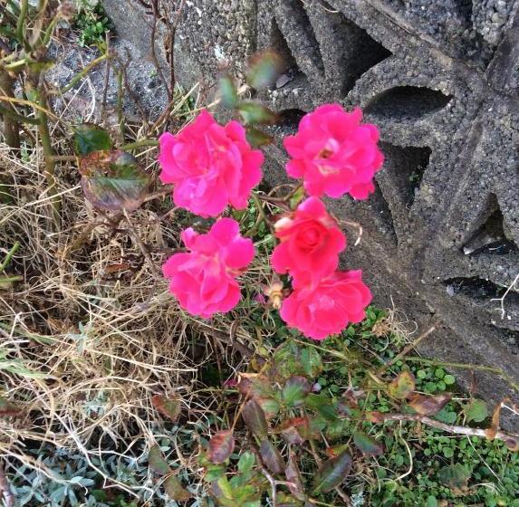 Bed and Breakfast Monastery View