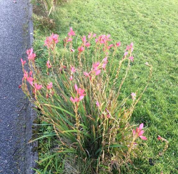 Bed and Breakfast Monastery View