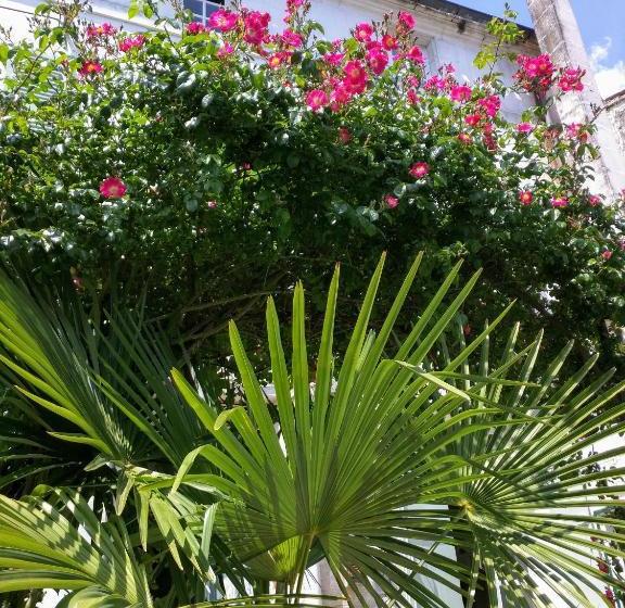 住宿加早餐  Quai Des Fleurs