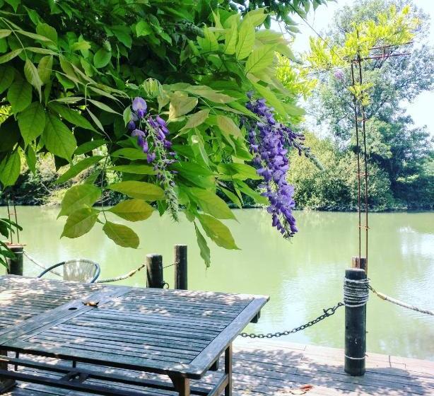 住宿加早餐  Quai Des Fleurs