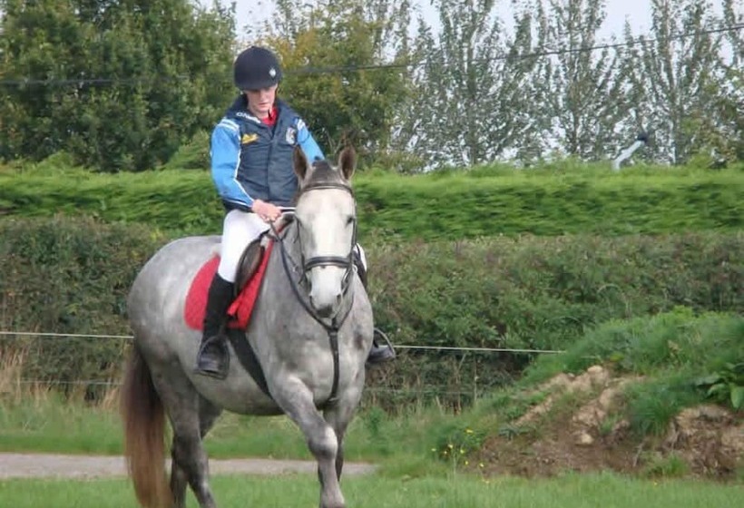 호텔 Ross House Equestrian Holidays