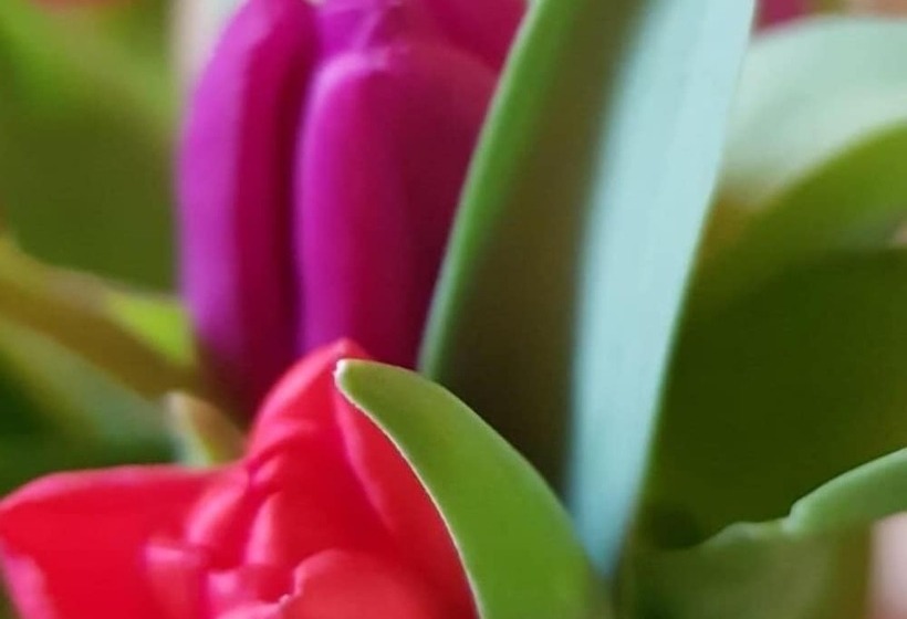 펜션 Domaine De La Petite Tour