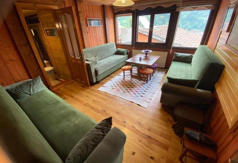 膳宿费 Wooden Ochena In Uzungöl