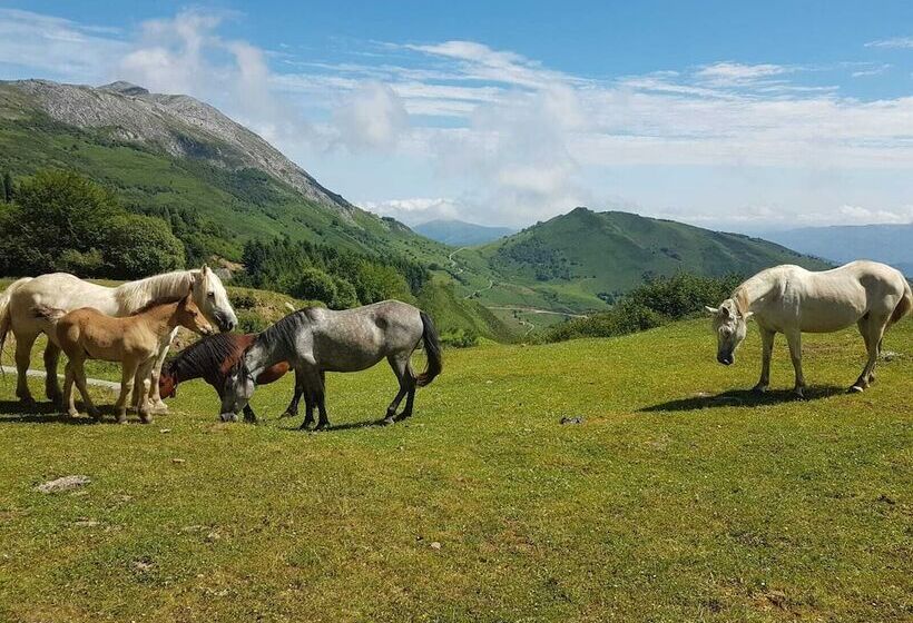 Alojamientos Rurales Valle De Bueida
