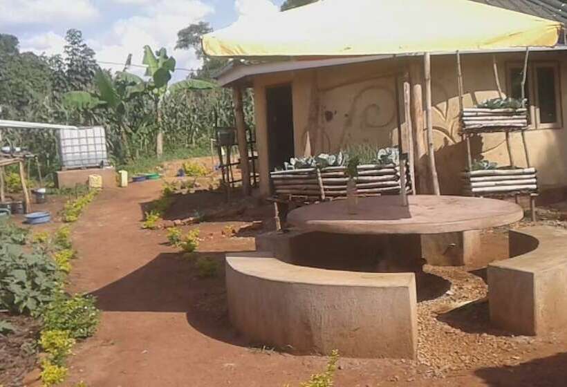 Eco Agric Uganda Cottages
