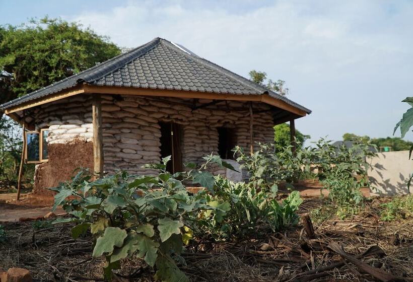 Eco Agric Uganda Cottages