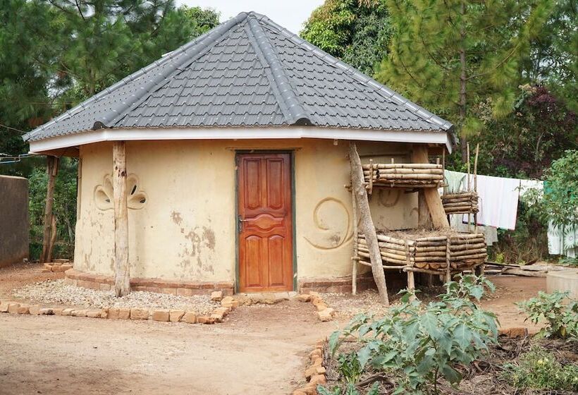 Eco Agric Uganda Cottages
