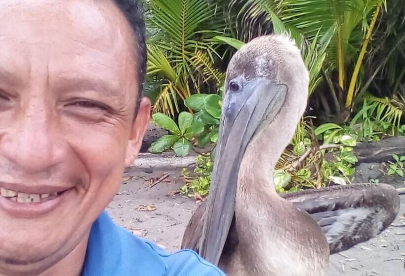 فندق Cabinas Y Tour Aaron Tortuguero