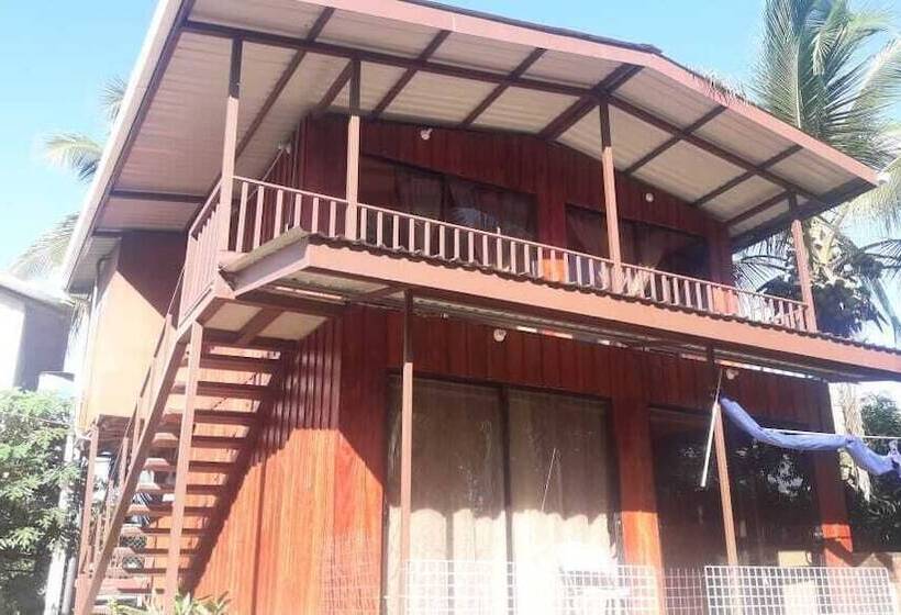 호텔 Cabinas Y Tour Aaron Tortuguero