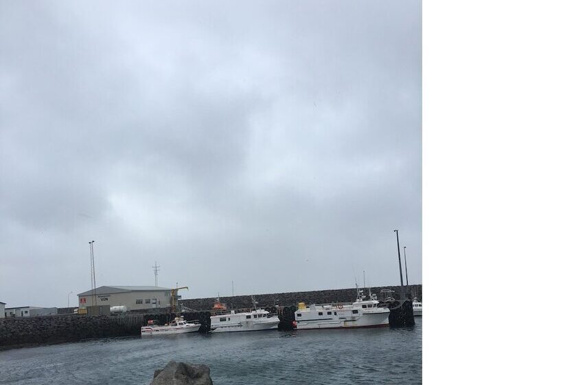 هتل North Star Apartments In Rif   Hostel