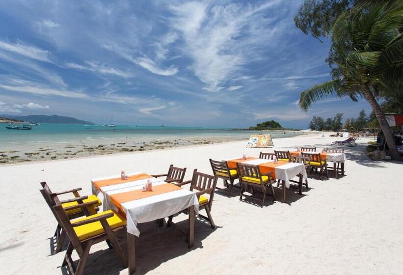 هتل Samui Honey Backpacker Bungalow