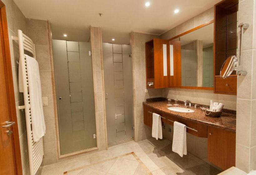 Отель Villarrica Park Lake By Enjoy